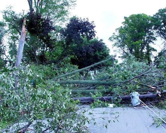 Image of trees that have pulled lines down onto street