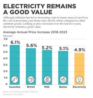 Value of Electricity infographic showing average annual price increase of other commodoties