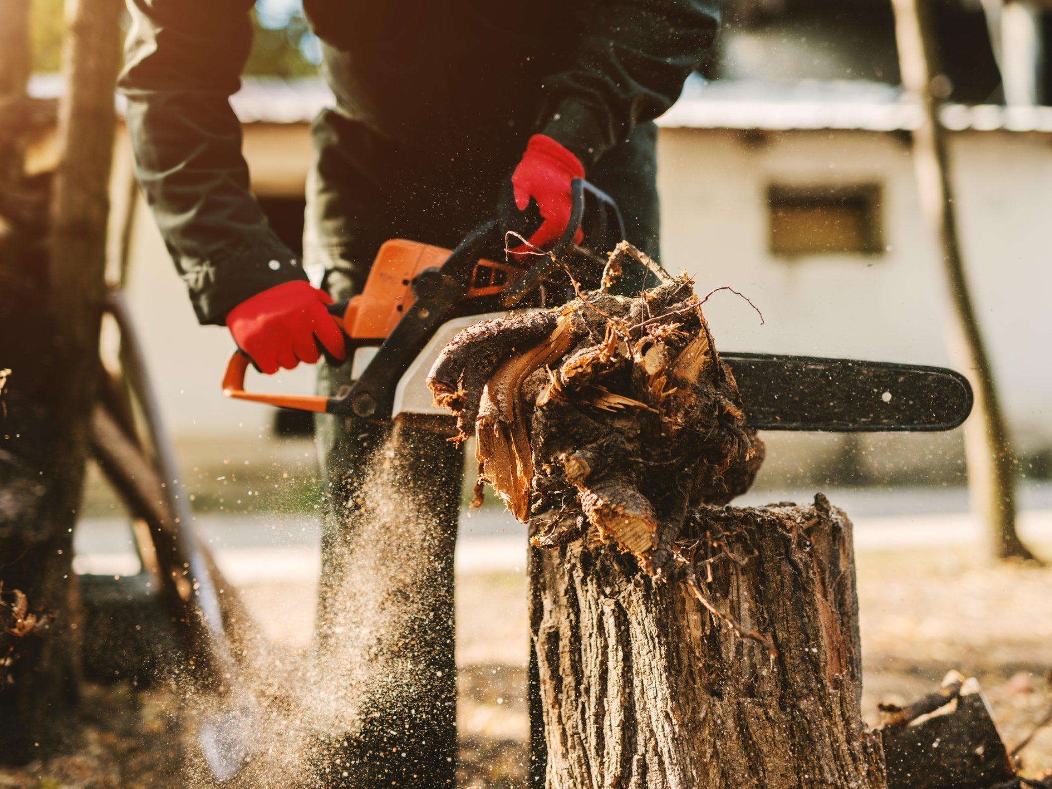 Why Cordless Electric Chainsaws Make the Cut | Beltrami Electric ...